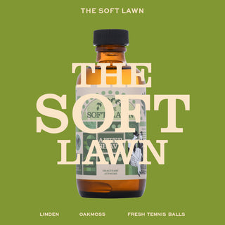 THE SOFT LAWN - SHAVE